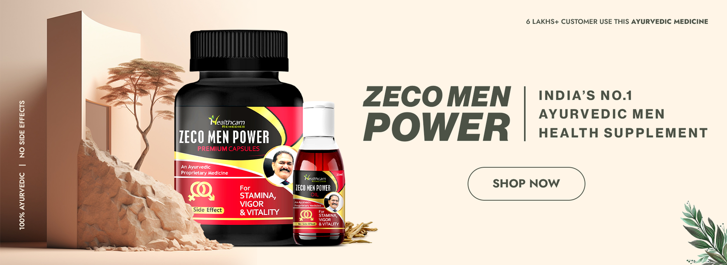 zecomen power-Web